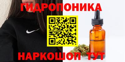 эйфоретик Моздок