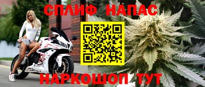 мдпв Можга