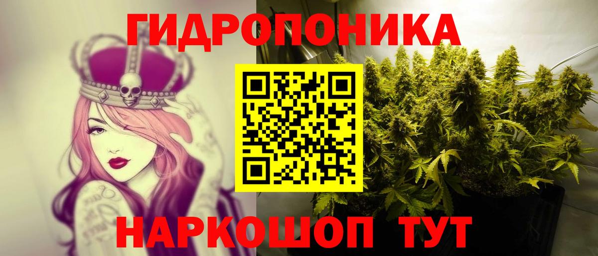 Прокопьевск  Марихуана SATIVA & INDICA  Каннабис ГИДРОПОН  Шишки марихуана THC 21%  Вход с VPN 